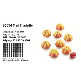 SQ034 Szilikon forma MINI CHARLOTTE