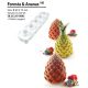 FORESTA Szilikon forma 60x73mm 110ml 5db/forma GAS02
