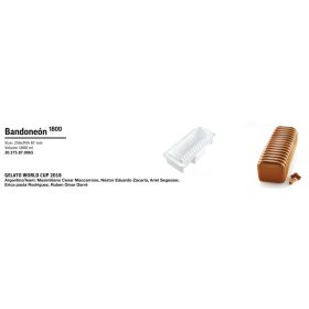 BANDONEÓN1800Szilikon forma 256x95x87mm