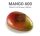 MANGO 600  Szilikon tortaforma